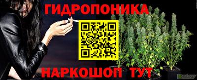 мяу мяу мука Пушкино